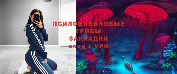 2c-b Алзамай