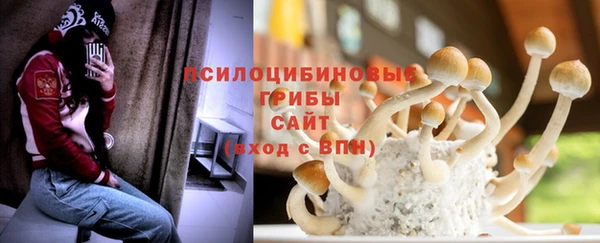 ПСИЛОЦИБИНОВЫЕ ГРИБЫ Абдулино