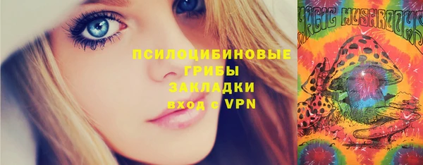 ПСИЛОЦИБИНОВЫЕ ГРИБЫ Абдулино